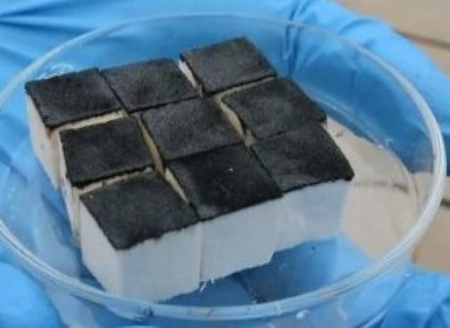 Wood Sponge (Credit: Shu Shu Zheng, RMIT University)