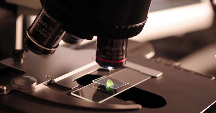 Microbiology