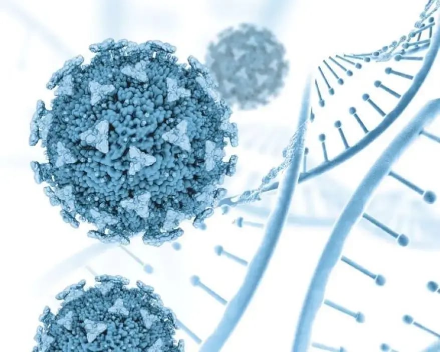 Gene Modification