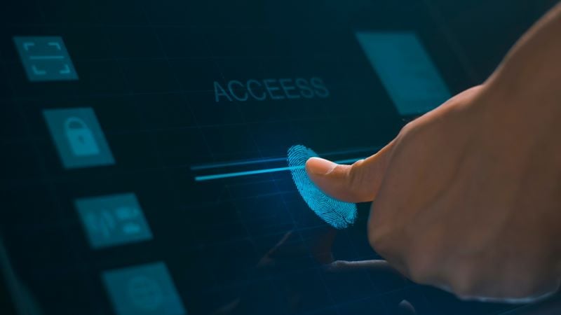 Biometrics in Passwordless Authentication