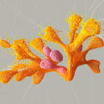 Next Post Image