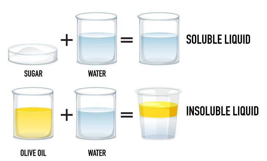 Difference between true solution and heterogeneous mixture.