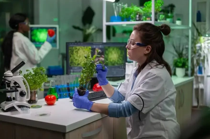 Plant Tissue Culture
