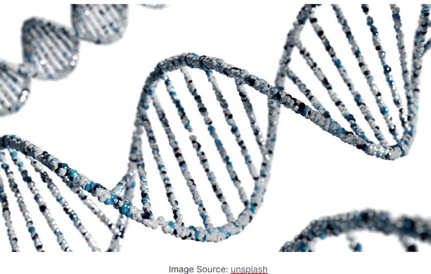 Molecular and Biochemical parasitology