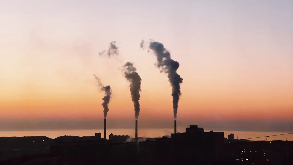 Effects of Photochemical Smog