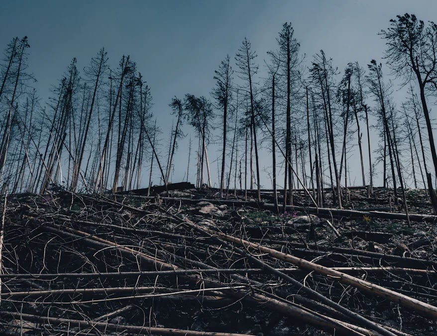Effects on Biodiversity