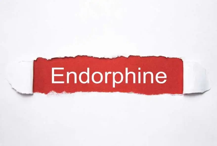 endorphins hacking happiness
