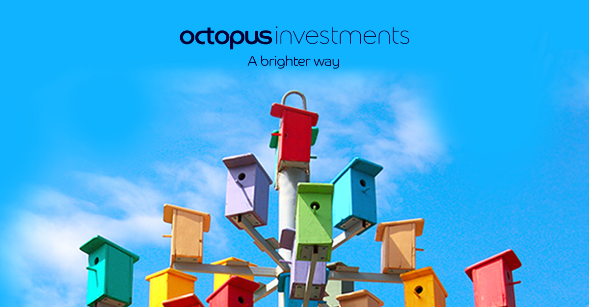 Octopus Investments