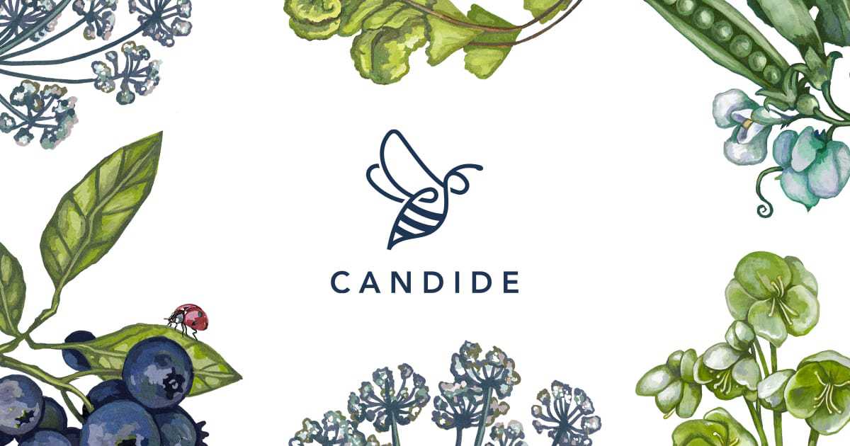 Candide Ltd