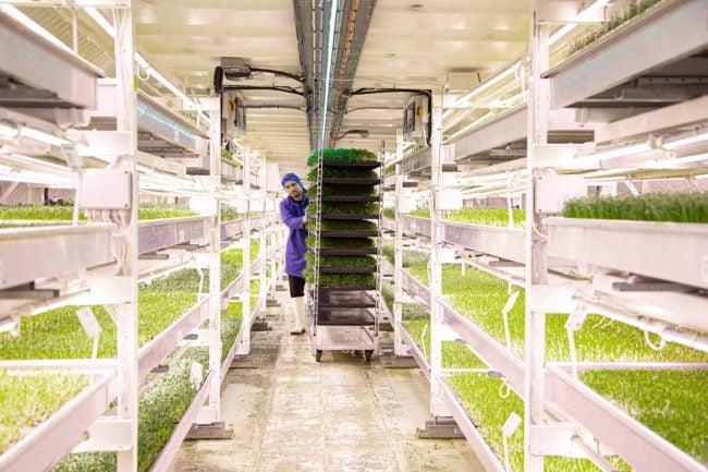 Zero Carbon Farms