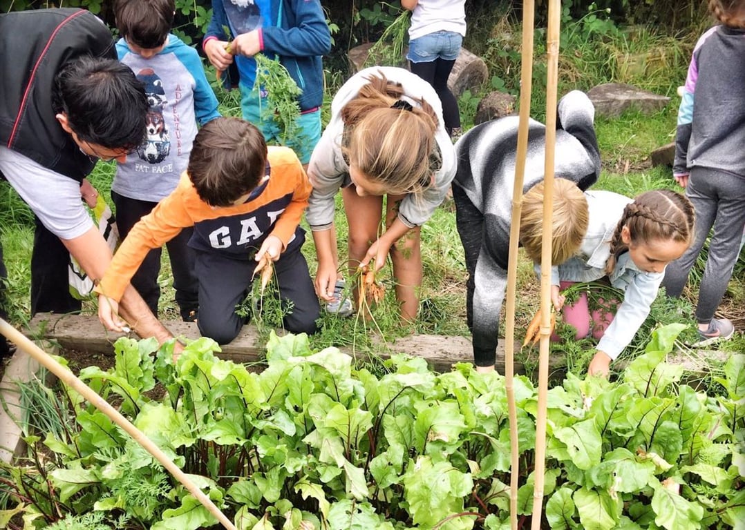 The Paradise Co-operative