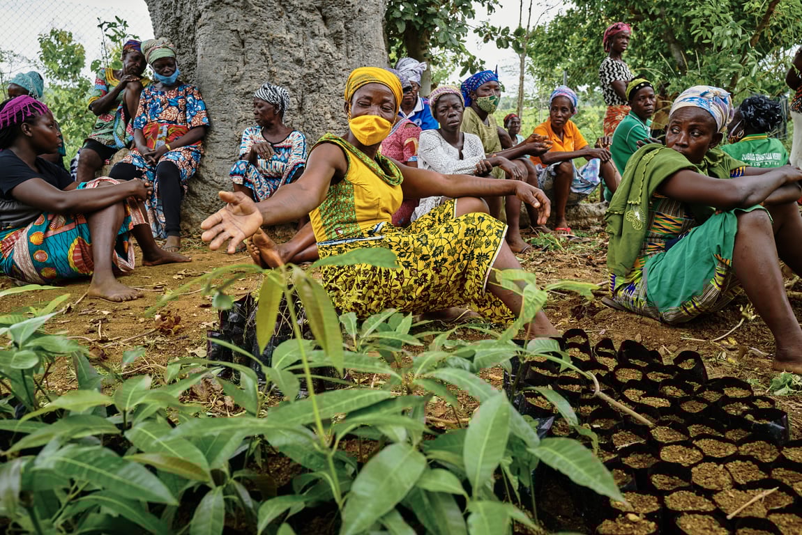 International Tree Foundation