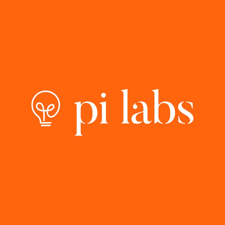 Pi Labs - Venture Capital
