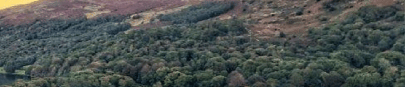 Friends of the Lake District