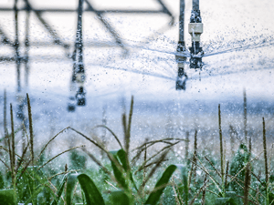 Filter Bewässerungssysteme Agrikultur / watering system agriculture