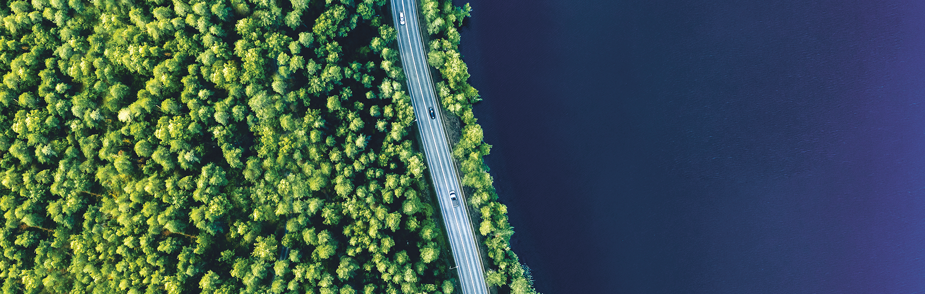 Nachhaltigkeit / sustainability