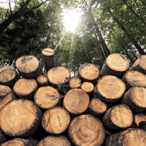 filter bänder holz industrie / belt filter wood industry