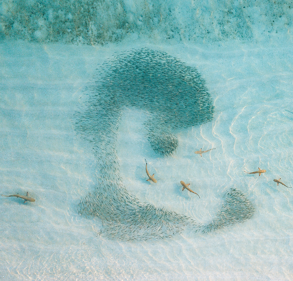 Nachhaltigkeit Wasser / sustainability water