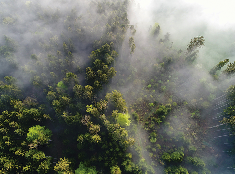 Nachhaltigkeit saubere Luft / sustainability clean air