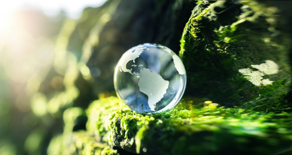 Nachhaltigkeit / sustainability