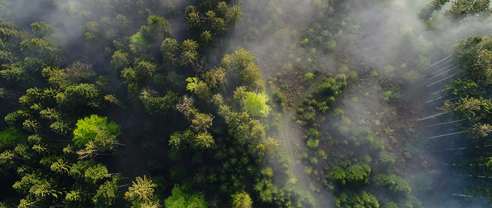 Nachhaltigkeit Luft / sustainability air