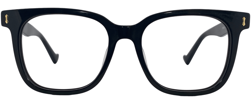 Gautier glasses in Black