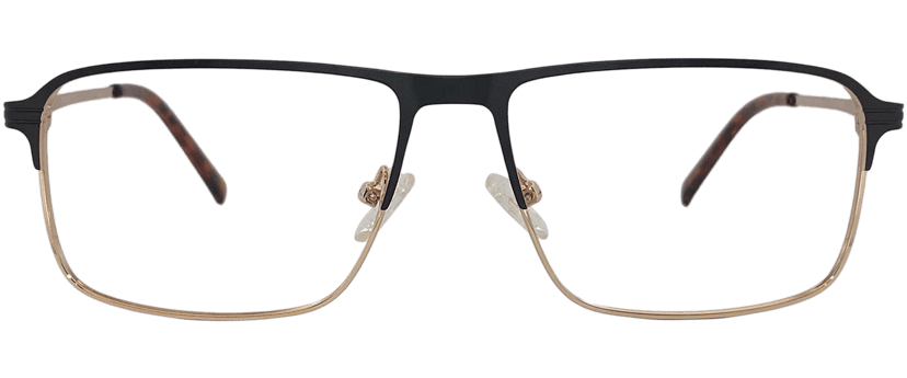 Francesco glasses in Black