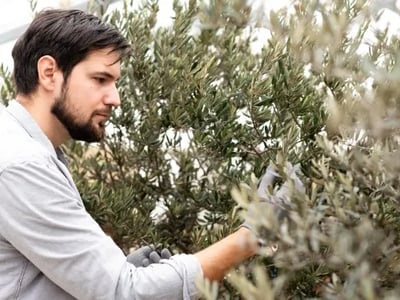 Stručno savjetovanje