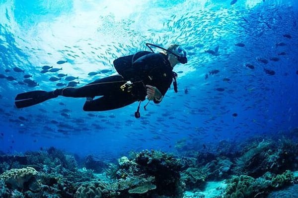 Snorkeling & Scuba Diving