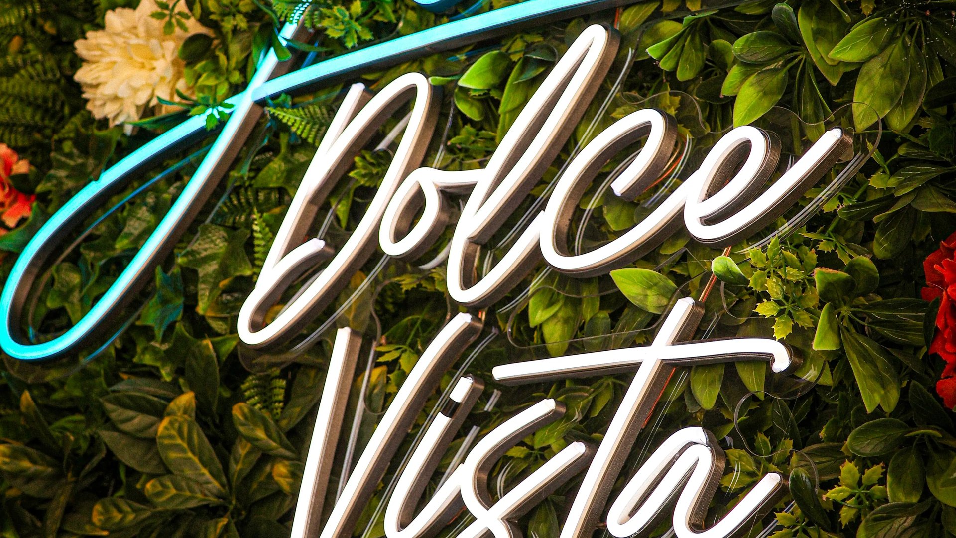 Jaz Dolce Vista interijer – pripreme pića
