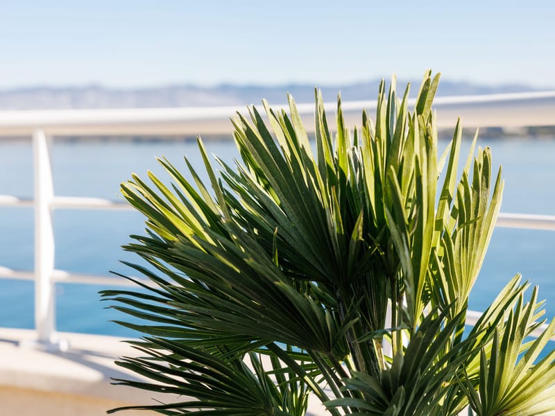 undefined kitchen in Luxury Apartment Tunera 7 apartment, Krk Island