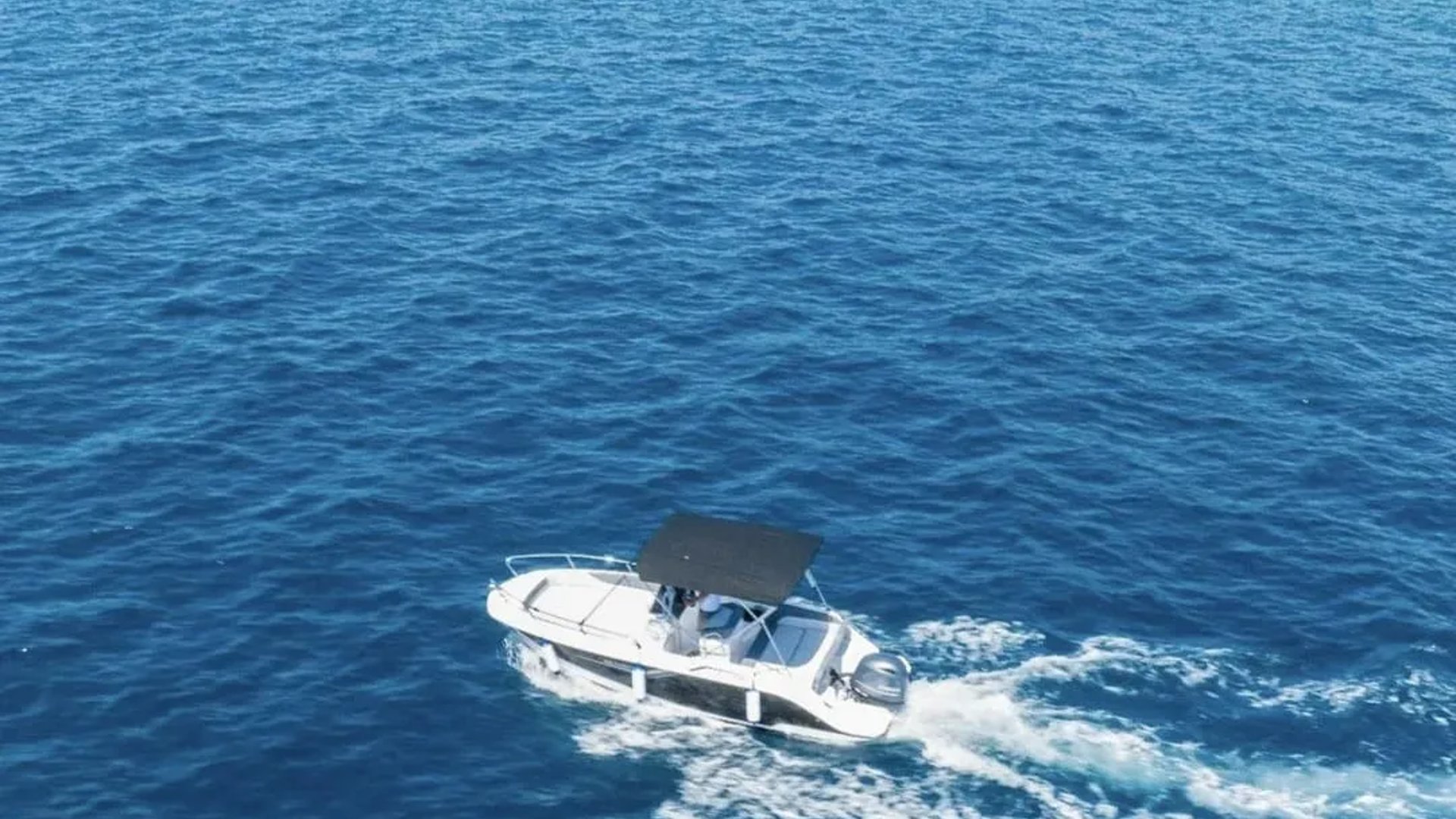 Salpa 20