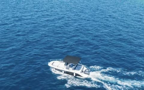 Salpa 20