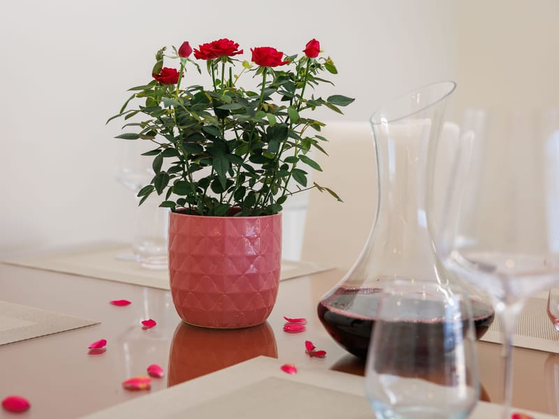 undefined terrace with panoramic sea views