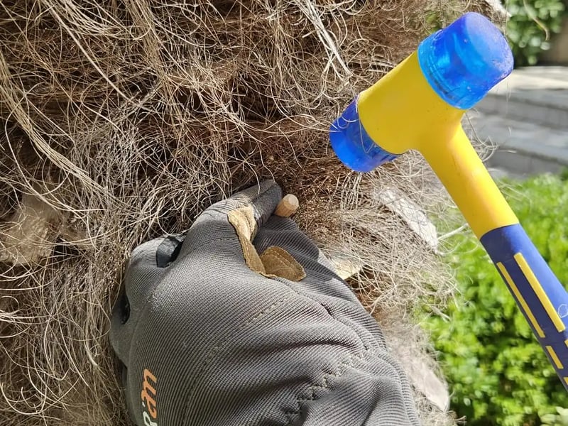 Endoterapija zaštita - proces 3