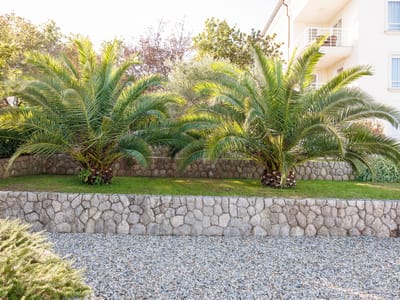 Villa Tunera gallery photo 3