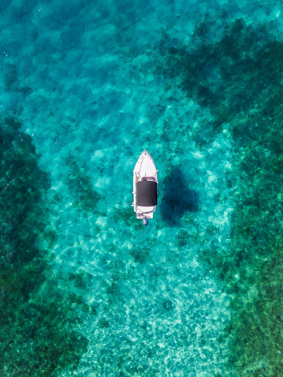 Island of Krk – History, Beauty and Why We Love It at Zen Nautica Malinska