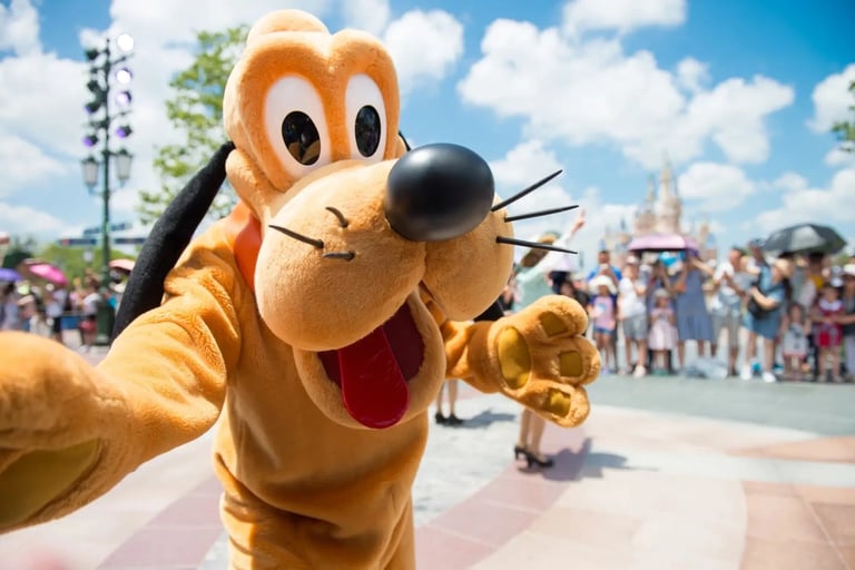 The Best Times to Visit Walt Disney World Resort