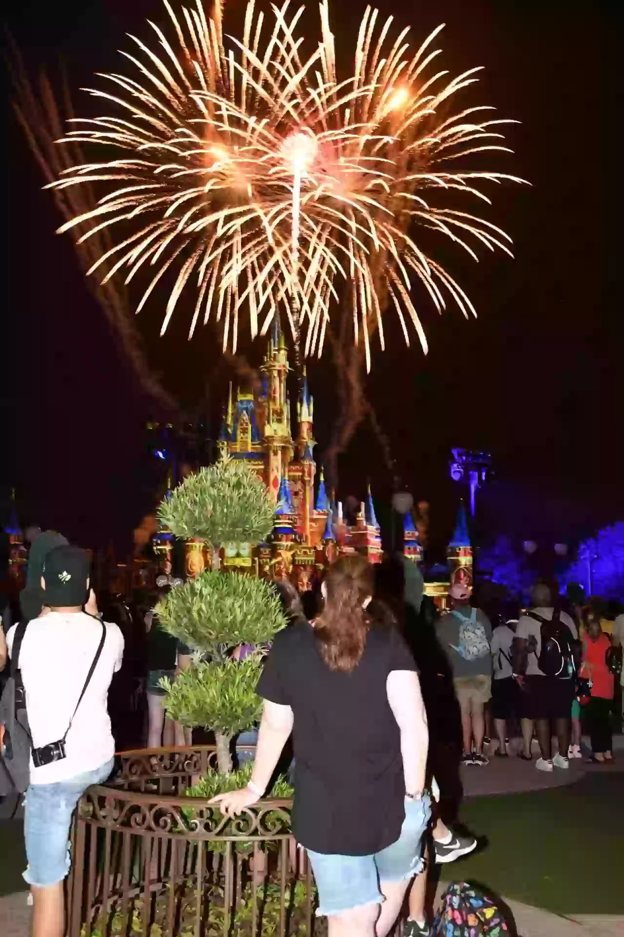 Castle Fireworks