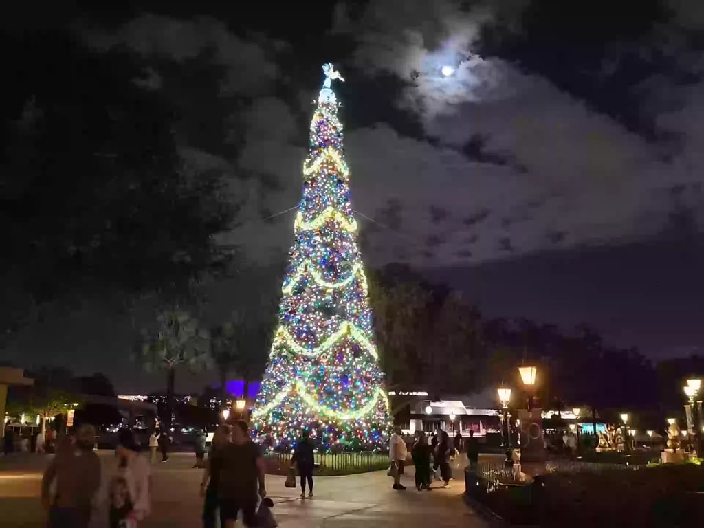 Epcot Christmas Tree