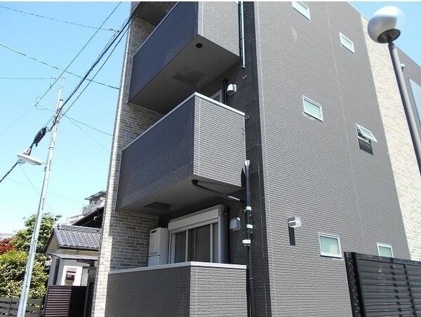 Mille Grainesの写真