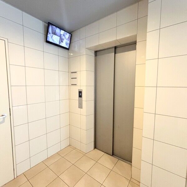 トレヴィ高岳の写真