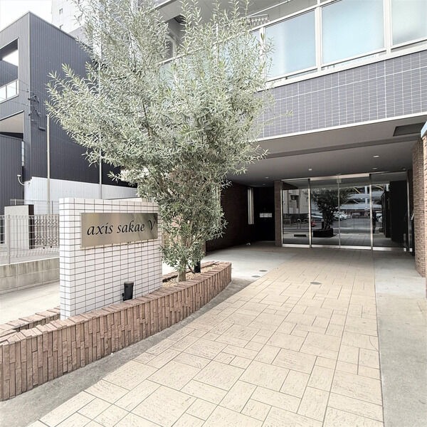 axis sakae Ⅴの写真