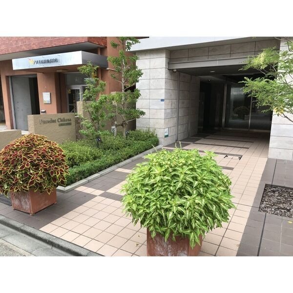 501 1LDKの室内写真