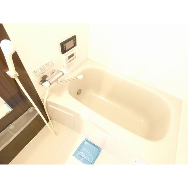 31.29 1LDKの室内写真 6