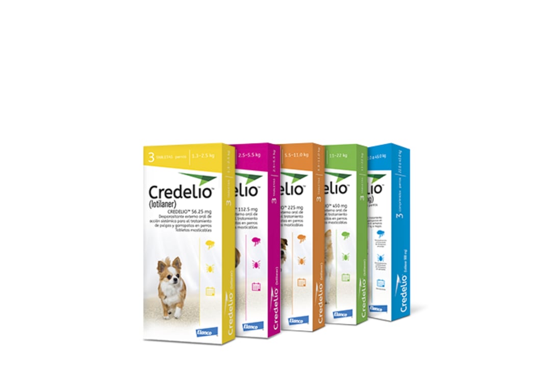 Credelio