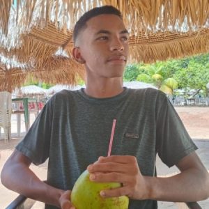  Foto de perfil de Ariel da Silva Sousa 