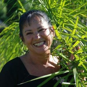  Foto de perfil de Maria Cândida Borges Cardoso 