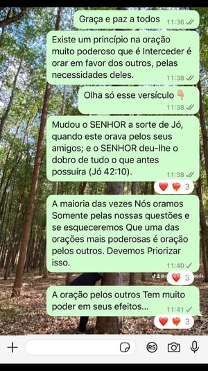 43C96F8C-75D7-491B-84DF-207336478135