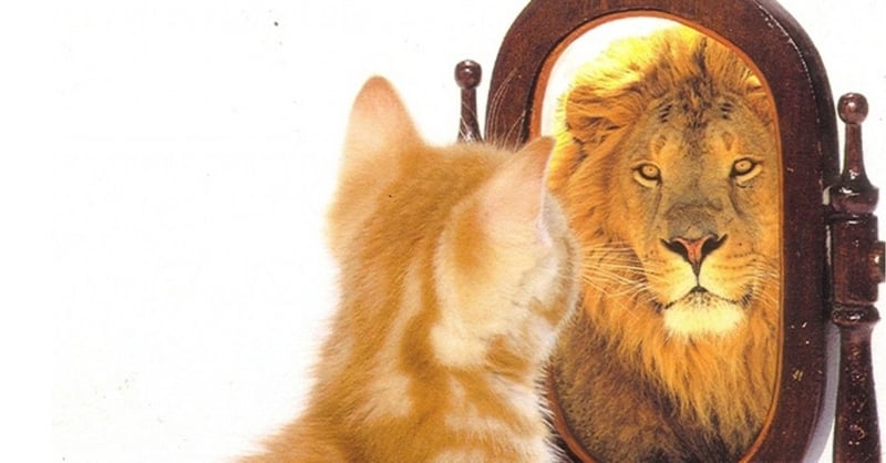 Como está a sua autoimagem e sua autoestima